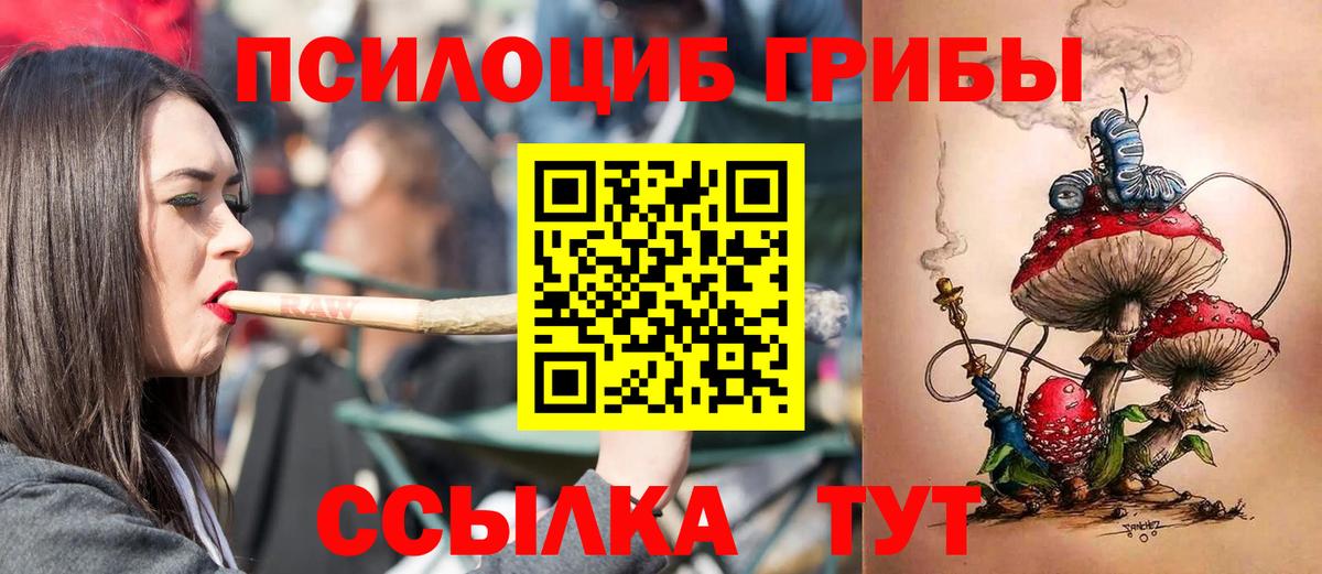 Псилоцибиновые грибы ЛСД Чернушка